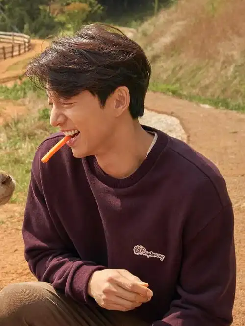 孔刘满足了我所有理想型