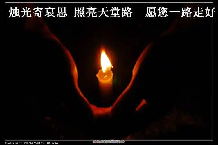 陆金标一路走好!