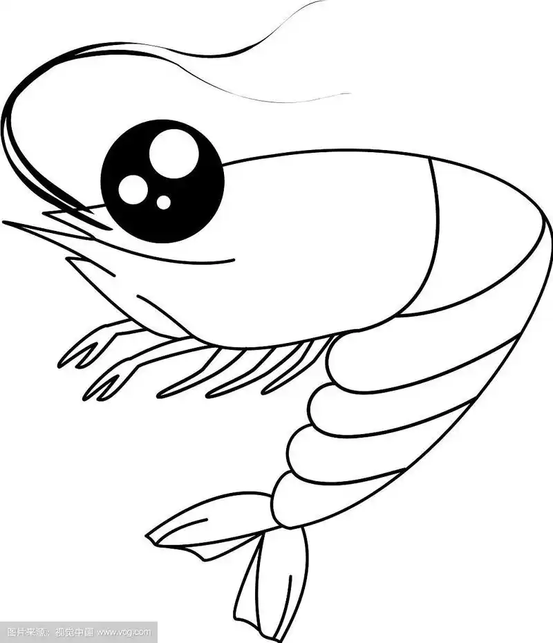 卡通虾轮廓画彩色虾