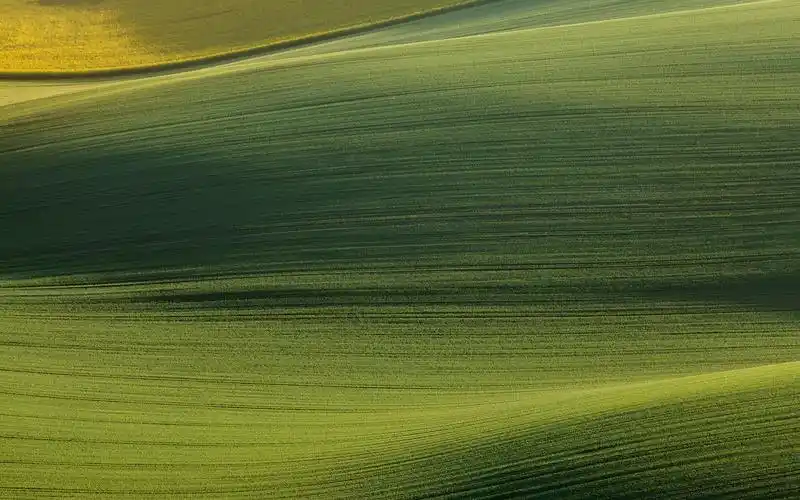 护眼绿色草原桌面壁纸1600x900分辨率下载,护眼绿色草原桌面壁纸,高清