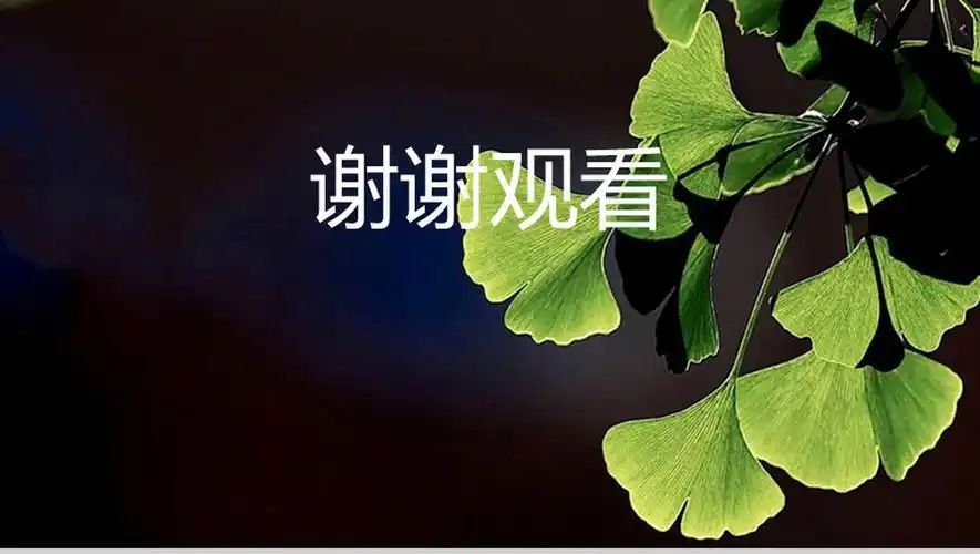 蓝色清新向日葵立夏节气教育说课16素材ppt模板精选