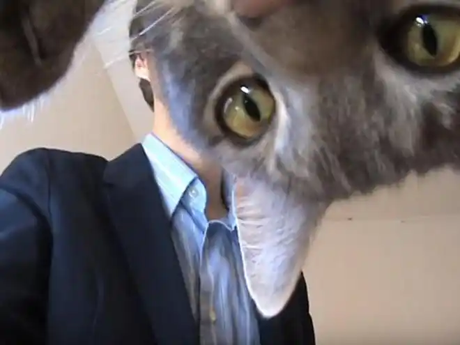 猫奴自拍影片练演讲喵星人乱入害笑场