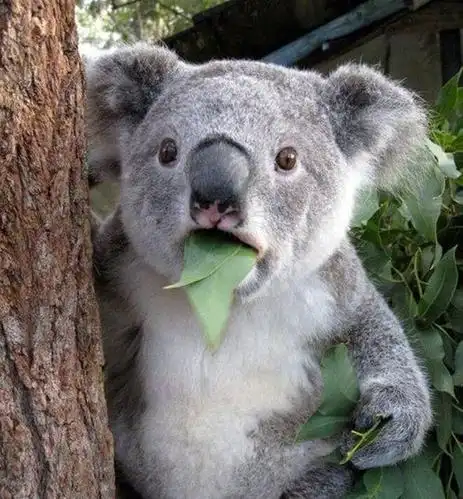 拙u瘆訃7s綷逋瀘 {7