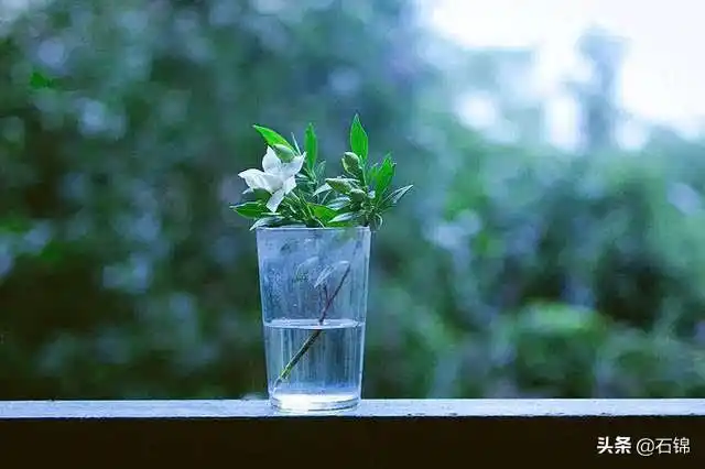 描写心境淡然的诗句6字,描写心境淡然的诗句