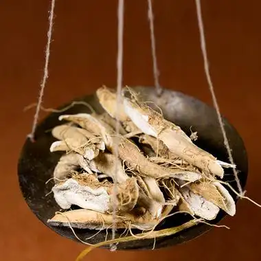 野生中草药材刺苋菜根野刺苋假苋菜猪母刺刺苋头无硫农家自晒其他药食