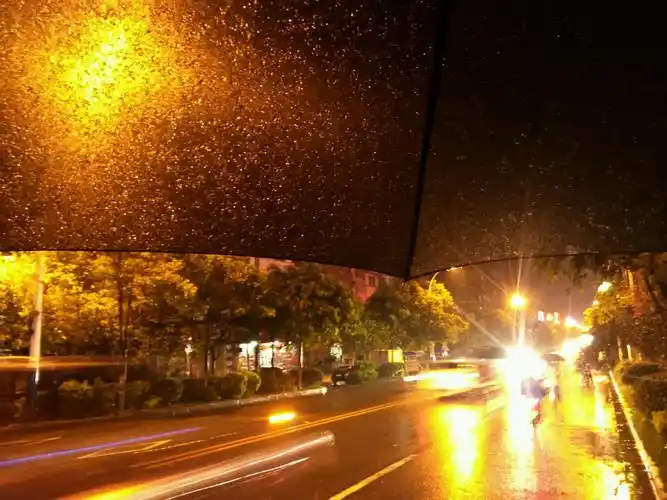 那些下雨的夜晚,你是怎么过来的?