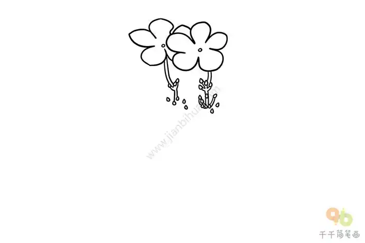 天目琼花简笔画画法