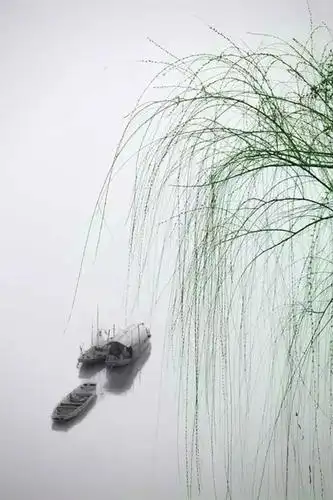 中国风景的摄影图, 素色的背景,大面积的留白, 浓淡得宜,令人回味无穷