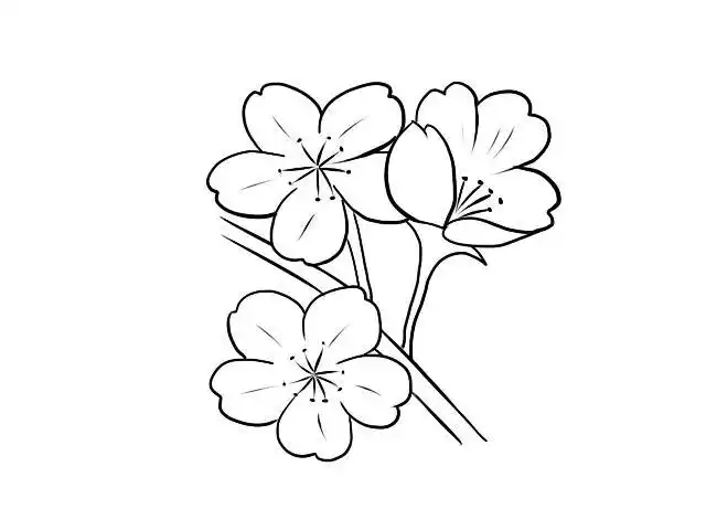 樱花简笔画
