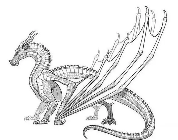 简笔画飞龙好看的