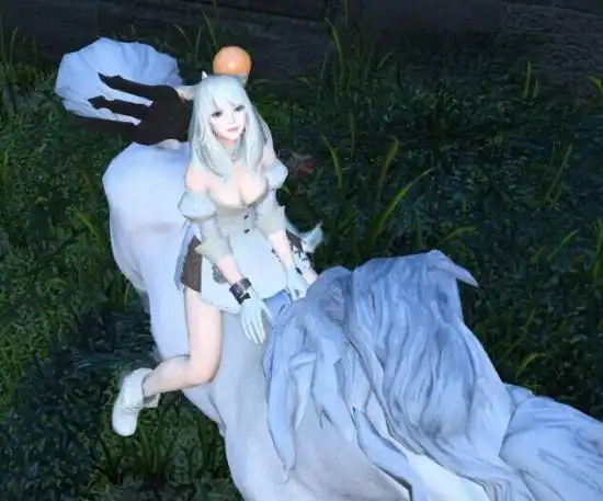 《ff14》美胸性感猫娘排排站
