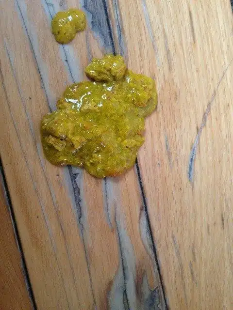 有屎粑粑图心脏别进来 求代付或者宝妈妈帮忙看一下这拉肚算严重吗