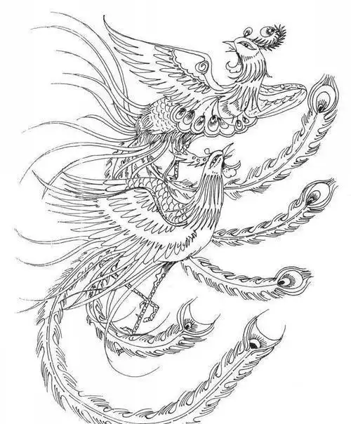 凤凰简笔画手绘图