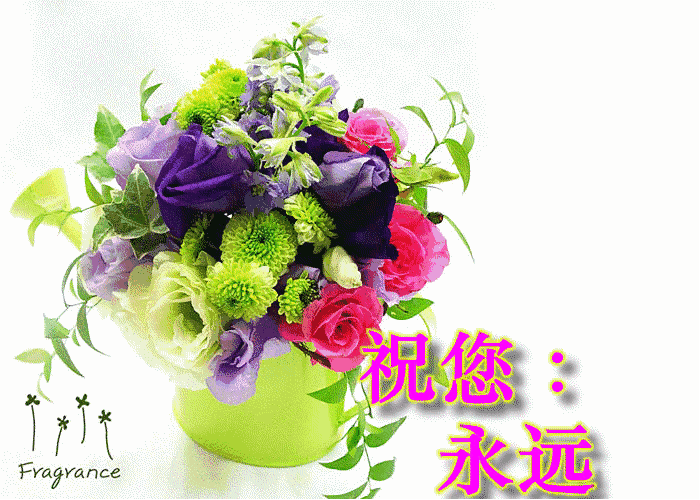 699_499gif 动态图 动图