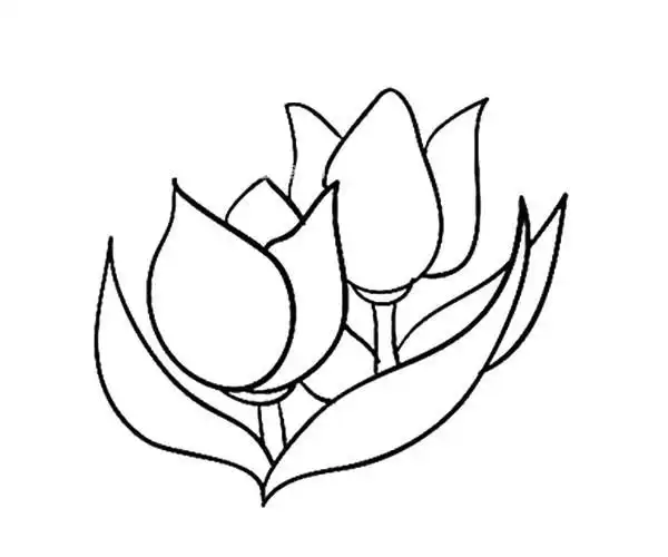 12款漂亮的花朵简笔画图片各种花朵的简单画法大全