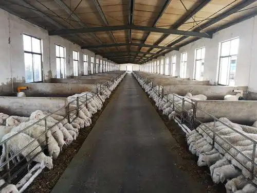 临清市润林牧业养殖基地对口援建刚察县农牧局养羊示范基地建设项目