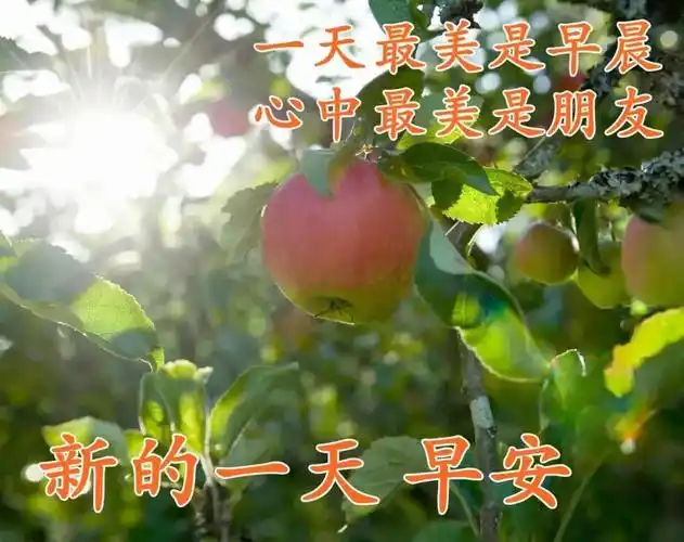 原创7张最新漂亮秋天风景早上好图片带字带祝福语好看的免打字聊天的