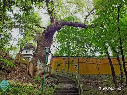 游:浙江仙居"南峰山","仙居绿道"风景等.