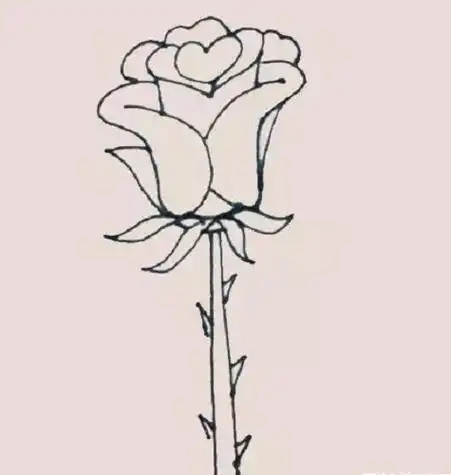 玫瑰花简笔画简单漂亮玫瑰花简笔画怎么画步骤