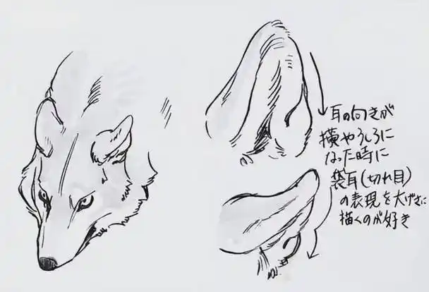 【漫动教育】霸气的狼怎么画?教你画动物狼的画法重点!|獠牙_网易订阅