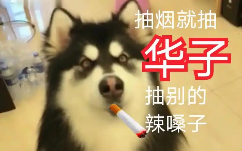 拉斯抽烟就抽华子抽别的辣嗓子