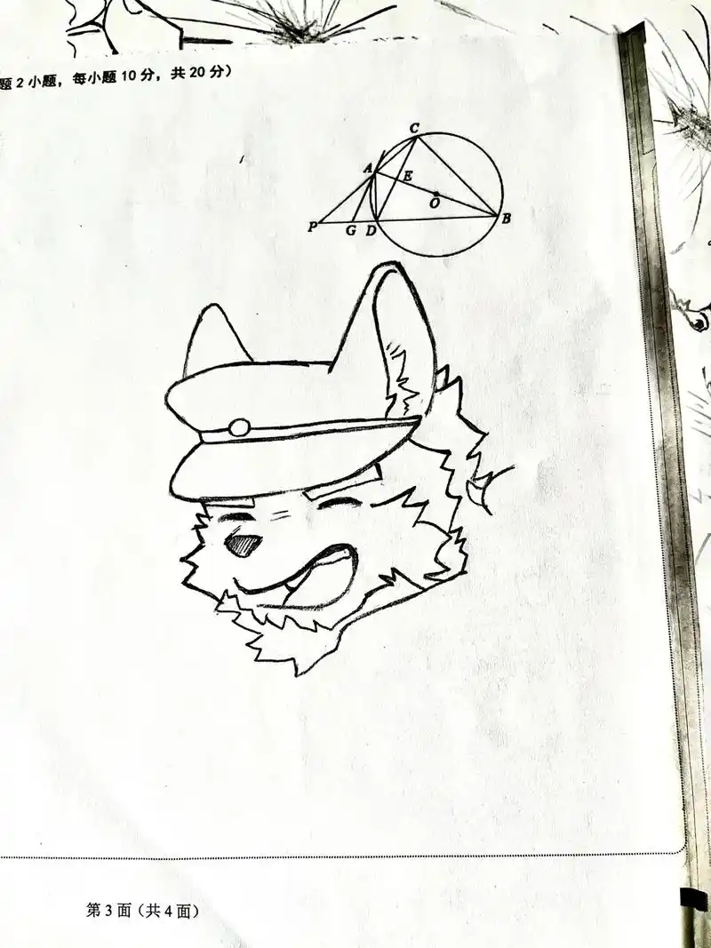 画渣日常 #画画 #临摹手绘 #furry兽人  《回锅饭 - 抖音