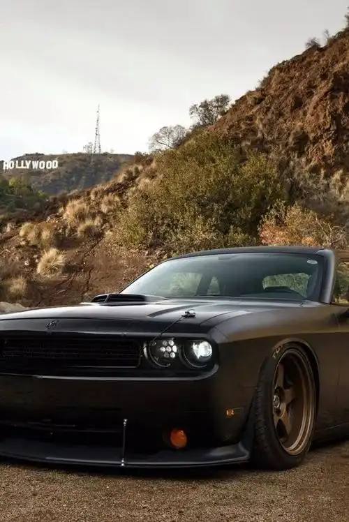 壁纸挑战者了解一下