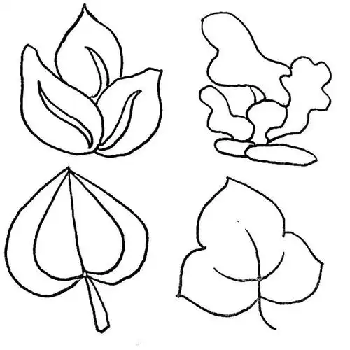 怎样画树叶简单画法,树叶画法(几笔就能画出各种叶子的简笔画)