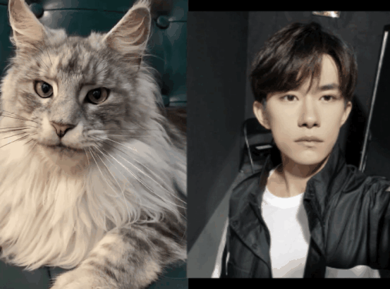 如果拥有一个狗狗男友,那会是怎样的感觉