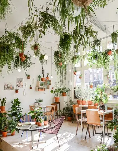 合肥花店装修要点,网红花店这样设计,让你的梦想照进现实