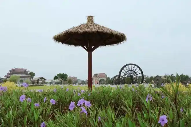 龙港这个田园综合体成新晋网红打卡地海运文化主题约吗