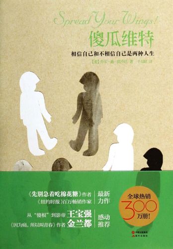 傻瓜维特(相信自己和不相信自己是两种人生)