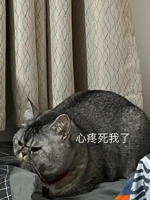 屏维修费用(1470前 120后屏)回收只能拿到700左右,尼玛属于雪上加霜了