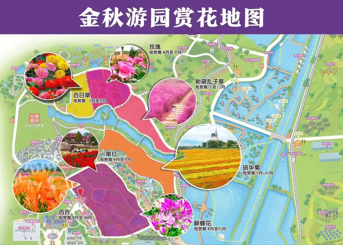 图文大江大湖·3天前#广告#网红粉黛#赏花来这里#花博汇#花海遇见你花