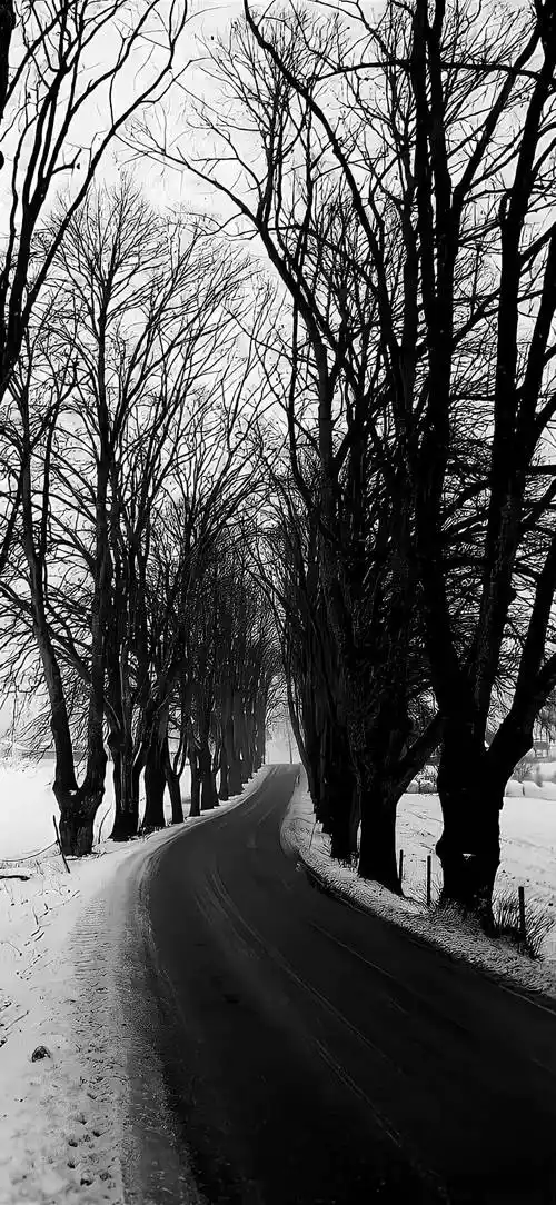 黑色系壁纸 | 高级感简约锁屏壁纸