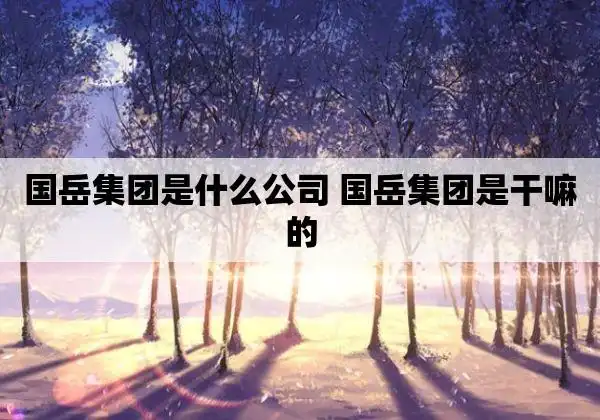 国岳集团是什么公司 国岳集团是干嘛的