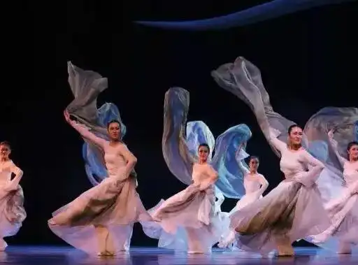 是中国传统文化的一种表现,是富有中国特色的舞蹈种类