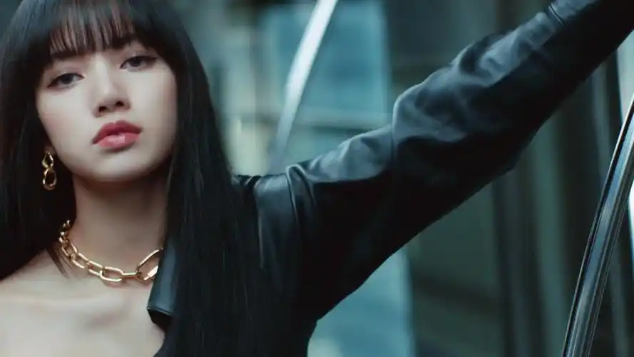 乱斗荒野我型lisa正片霸屏