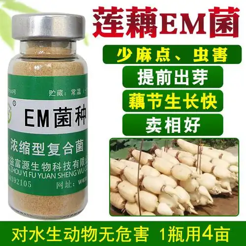 莲藕em菌种专用肥料膨大素叶面肥麻点药铁锈藕带莲子田黄叶益富源-mc