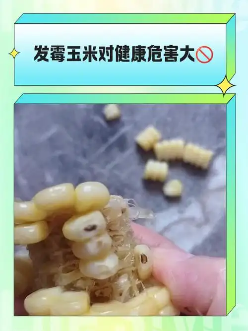 发霉玉米对健康危害大🚫