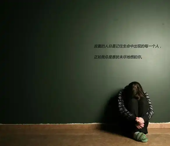 高清浏览 下一组图