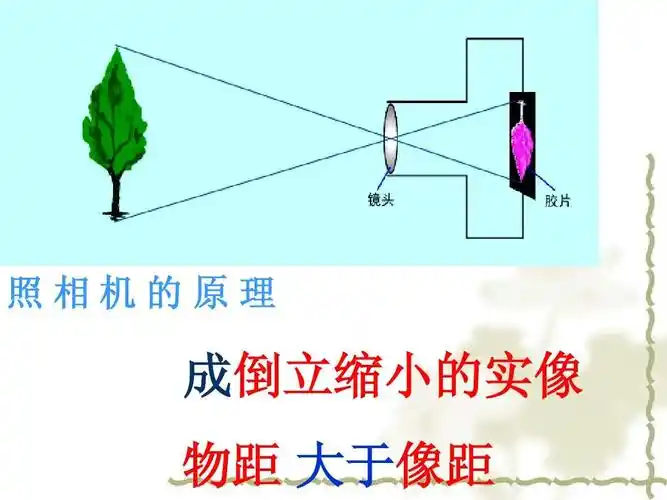 照相机的原理 成倒立缩小的实像 物距 大于像距