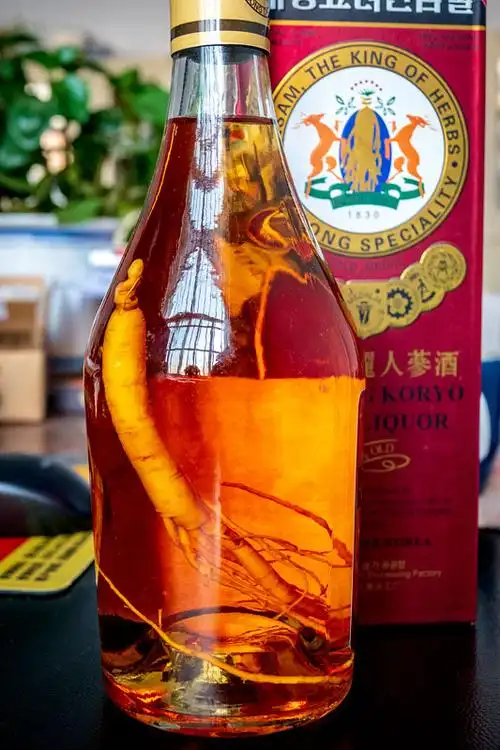 朝鲜开城高丽人参酒