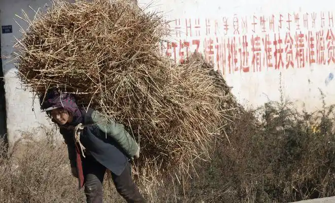 四川凉山彝族留守老人吃的土豆背着百斤重物城市人见了感动