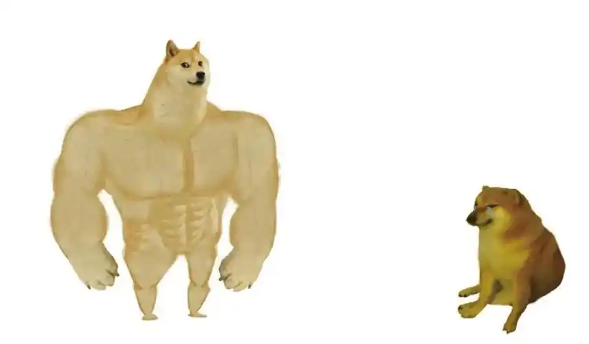 doge狗头