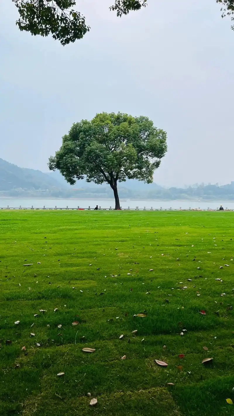 宜昌滨江公园一景.越简单的就越美呀!任何事,物都可套用.#一 - 抖音