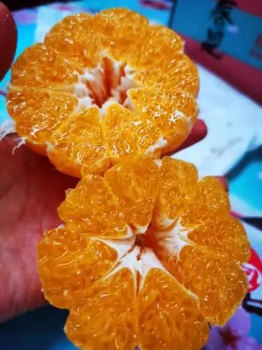 日本品种匠心级春见丑橘新鲜不知火耙耙柑丑八怪橘子顺丰 原箱8斤 净