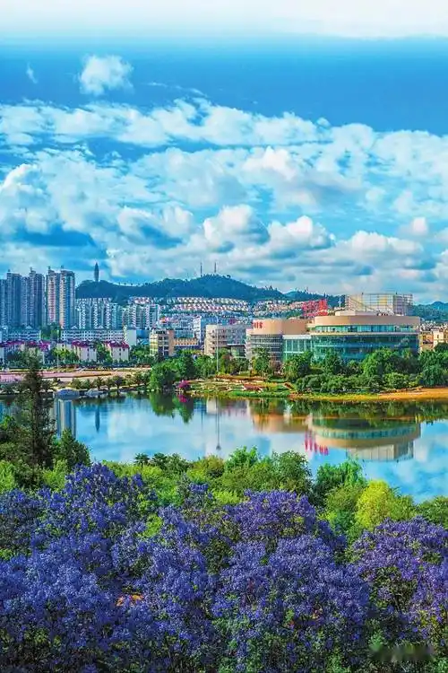 12340来电话啦,请为玉溪代言!点赞 !_问题