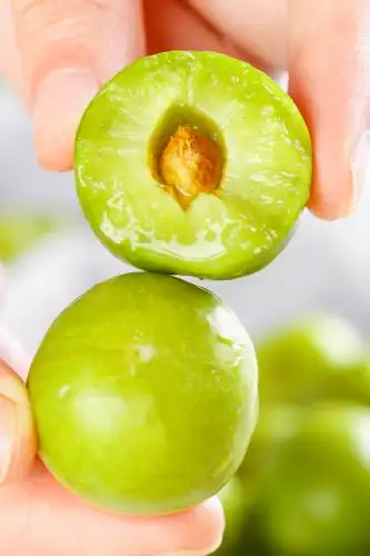 手里拿着新鲜李子 脱骨李