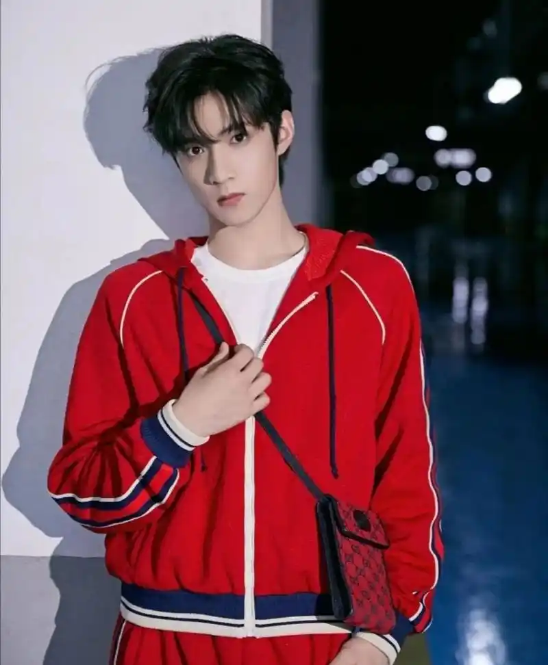 刘耀文个人简介(附带霸气照片! ! !